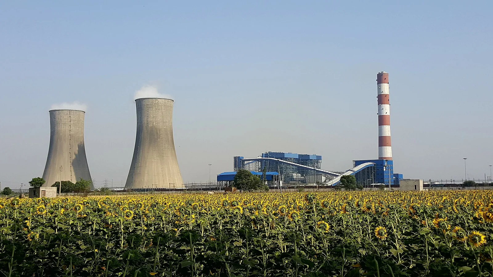 Rajpura Thermal Power Plant, Punjab.